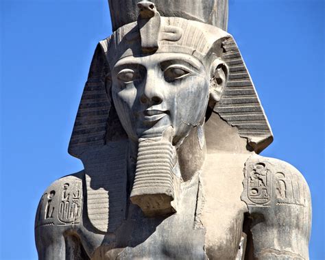 Decoding the Secrets of Monarch Ramses' Curse and Fortitude